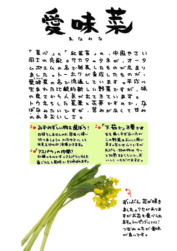 愛味菜｜心にチクっとささるワードで作る「ちくわPOP（ちくわぽっぷ）」｜農産物直売所やスーパーの青果売り場の活性化に！農に特化したPOPが無料!!