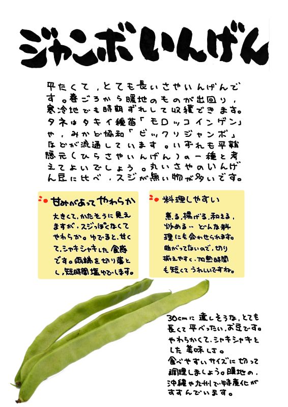 ジャンボいんげん｜心にチクっとささるワードで作る「ちくわPOP（ちくわぽっぷ）」｜農産物直売所やスーパーの青果売り場の活性化に！農に特化したPOPが無料!!