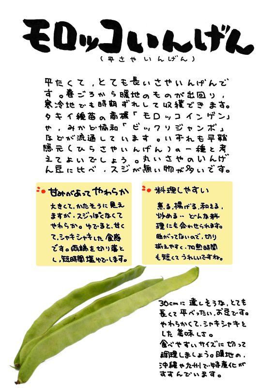 モロッコいんげん｜心にチクっとささるワードで作る「ちくわPOP（ちくわぽっぷ）」｜農産物直売所やスーパーの青果売り場の活性化に！農に特化したPOPが無料!!