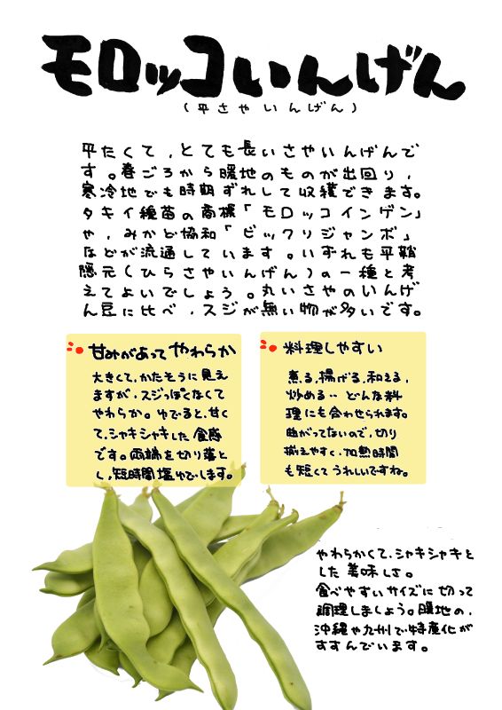 モロッコいんげん　モロッコ豆｜心にチクっとささるワードで作る「ちくわPOP（ちくわぽっぷ）」｜農産物直売所やスーパーの青果売り場の活性化に！農に特化したPOPが無料!!