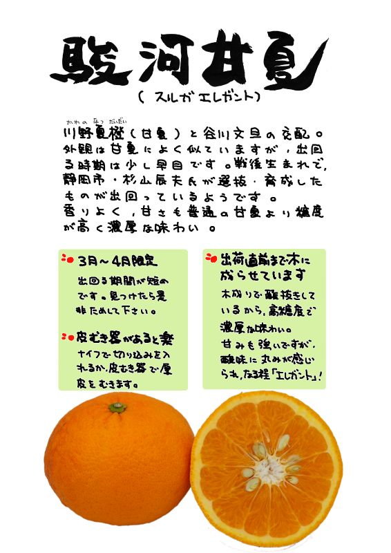 駿河甘夏｜心にチクっとささるワードで作る「ちくわPOP（ちくわぽっぷ）」｜農産物直売所やスーパーの青果売り場の活性化に！農に特化したPOPが無料!!