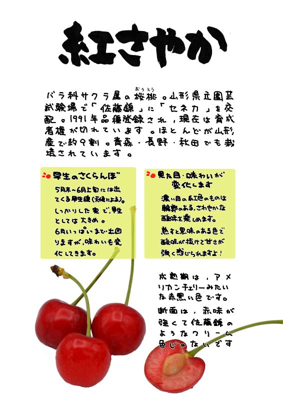 紅さやか　さくらんぼ｜心にチクっとささるワードで作る「ちくわPOP（ちくわぽっぷ）」｜農産物直売所やスーパーの青果売り場の活性化に！農に特化したPOPが無料!!