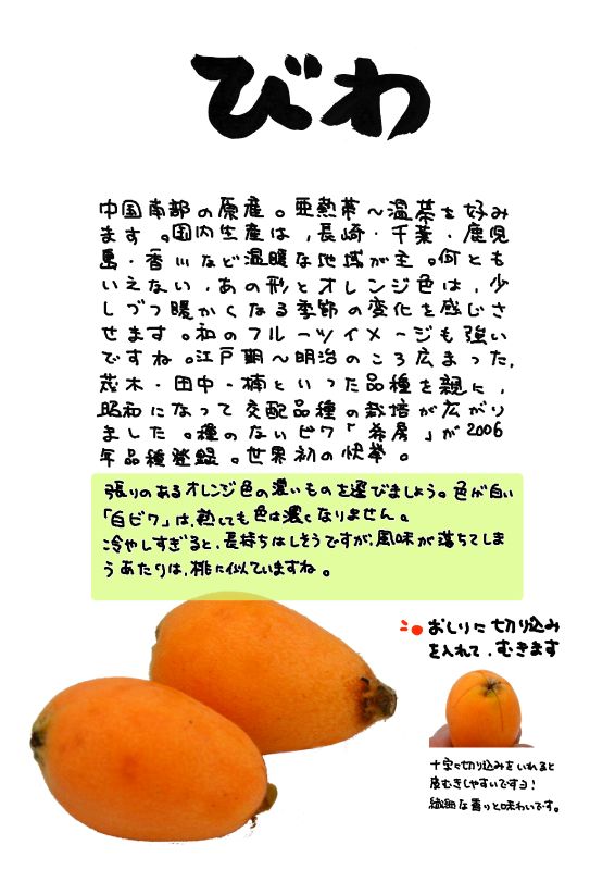びわ　琵琶　loquat｜心にチクっとささるワードで作る「ちくわPOP（ちくわぽっぷ）」｜農産物直売所やスーパーの青果売り場の活性化に！農に特化したPOPが無料!!