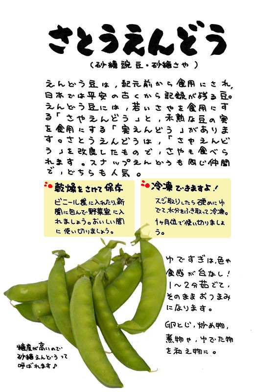 さとうえんどう｜心にチクっとささるワードで作る「ちくわPOP（ちくわぽっぷ）」｜農産物直売所やスーパーの青果売り場の活性化に！農に特化したPOPが無料!!
