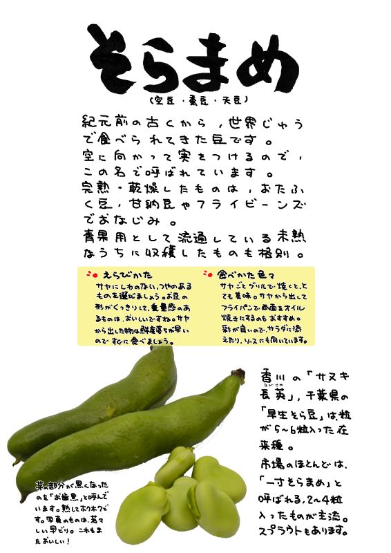 そらまめ｜心にチクっとささるワードで作る「ちくわPOP（ちくわぽっぷ）」｜農産物直売所やスーパーの青果売り場の活性化に！農に特化したPOPが無料!!