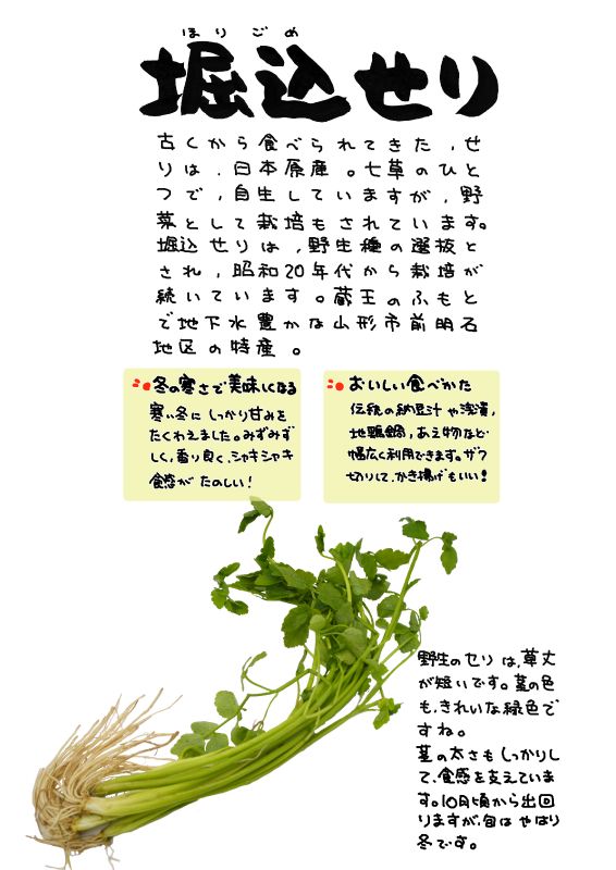 堀込せり｜心にチクっとささるワードで作る「ちくわPOP（ちくわぽっぷ）」｜農産物直売所やスーパーの青果売り場の活性化に！農に特化したPOPが無料!!