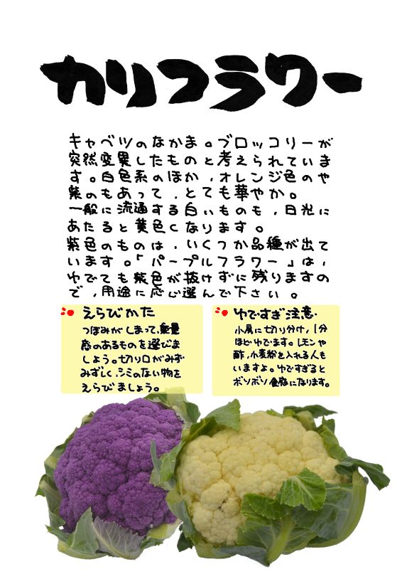 カリフラワー　白紫｜心にチクっとささるワードで作る「ちくわPOP（ちくわぽっぷ）」｜農産物直売所やスーパーの青果売り場の活性化に！農に特化したPOPが無料!!