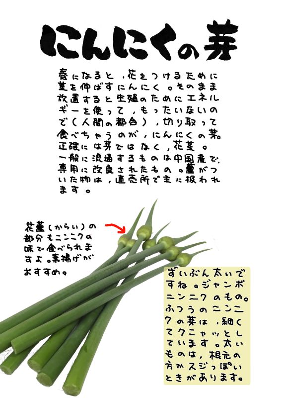 にんにくの芽｜心にチクっとささるワードで作る「ちくわPOP（ちくわぽっぷ）」｜農産物直売所やスーパーの青果売り場の活性化に！農に特化したPOPが無料!!
