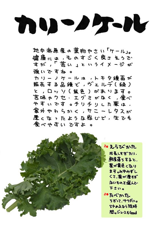 カリーノケール｜心にチクっとささるワードで作る「ちくわPOP（ちくわぽっぷ）」｜農産物直売所やスーパーの青果売り場の活性化に！農に特化したPOPが無料!!