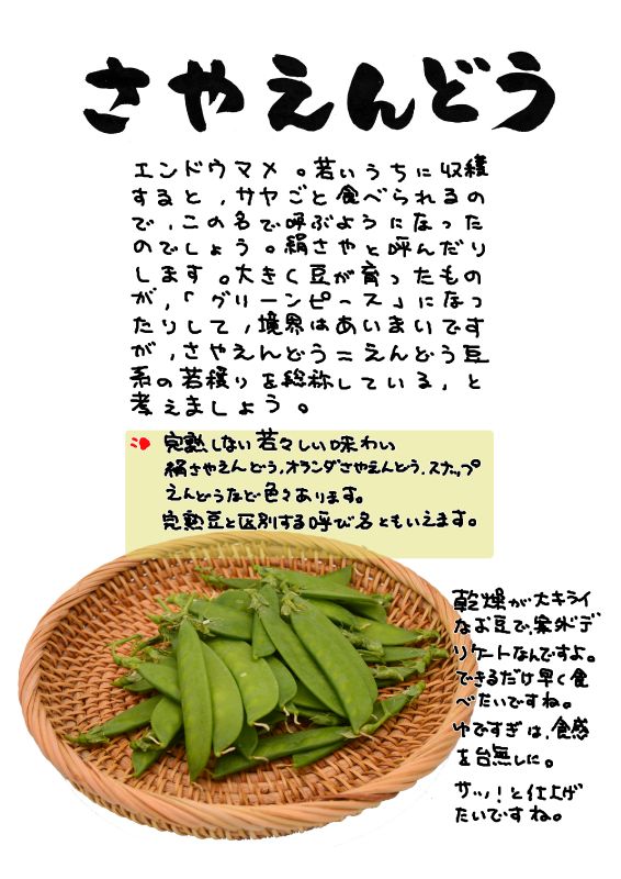 さやえんどう｜心にチクっとささるワードで作る「ちくわPOP（ちくわぽっぷ）」｜農産物直売所やスーパーの青果売り場の活性化に！農に特化したPOPが無料!!