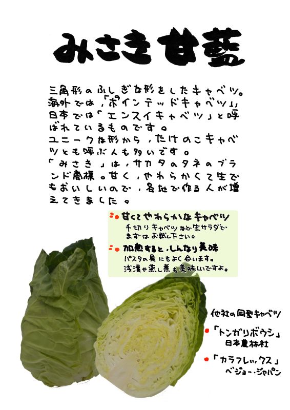 みさき甘藍　キャベツ｜心にチクっとささるワードで作る「ちくわPOP（ちくわぽっぷ）」｜農産物直売所やスーパーの青果売り場の活性化に！農に特化したPOPが無料!!