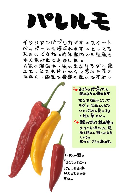 パレルモ　イタリアンパプリカ｜心にチクっとささるワードで作る「ちくわPOP（ちくわぽっぷ）」｜農産物直売所やスーパーの青果売り場の活性化に！農に特化したPOPが無料!!