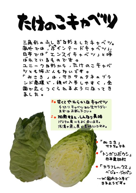 たけのこキャベツ｜心にチクっとささるワードで作る「ちくわPOP（ちくわぽっぷ）」｜農産物直売所やスーパーの青果売り場の活性化に！農に特化したPOPが無料!!