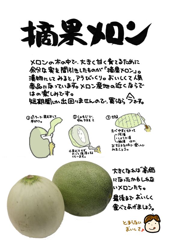 摘果メロン｜心にチクっとささるワードで作る「ちくわPOP（ちくわぽっぷ）」｜農産物直売所やスーパーの青果売り場の活性化に！農に特化したPOPが無料!!