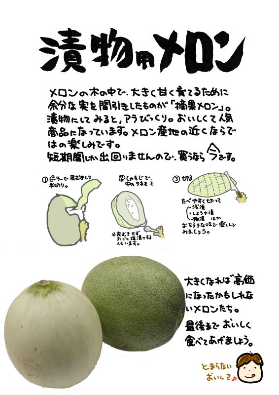 漬物用メロン｜心にチクっとささるワードで作る「ちくわPOP（ちくわぽっぷ）」｜農産物直売所やスーパーの青果売り場の活性化に！農に特化したPOPが無料!!