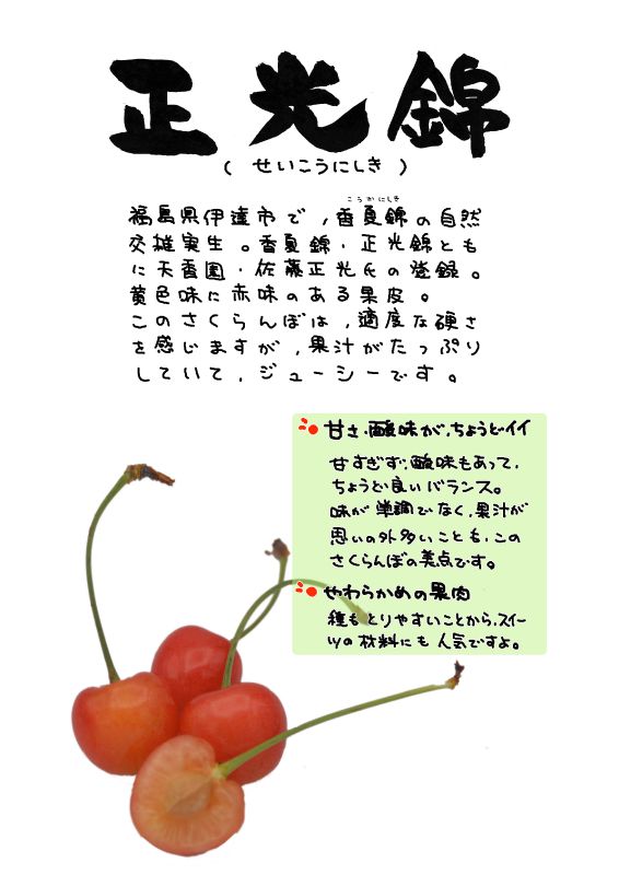 正光錦　さくらんぼ｜心にチクっとささるワードで作る「ちくわPOP（ちくわぽっぷ）」｜農産物直売所やスーパーの青果売り場の活性化に！農に特化したPOPが無料!!