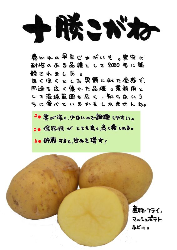 十勝こがね　じゃがいも｜心にチクっとささるワードで作る「ちくわPOP（ちくわぽっぷ）」｜農産物直売所やスーパーの青果売り場の活性化に！農に特化したPOPが無料!!