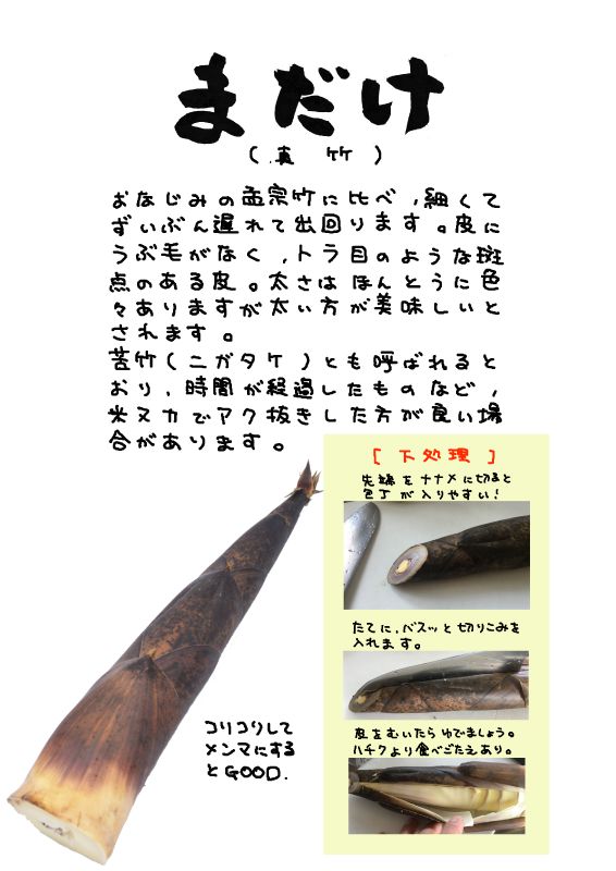 真竹　まだけ　long‐jointed bamboo｜心にチクっとささるワードで作る「ちくわPOP（ちくわぽっぷ）」｜農産物直売所やスーパーの青果売り場の活性化に！農に特化したPOPが無料!!