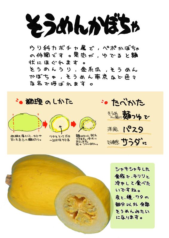 そうめんかぼちゃ　金糸瓜｜心にチクっとささるワードで作る「ちくわPOP（ちくわぽっぷ）」｜農産物直売所やスーパーの青果売り場の活性化に！農に特化したPOPが無料!!