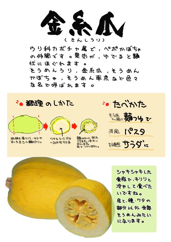 金糸瓜　そうめんかぼちゃ｜心にチクっとささるワードで作る「ちくわPOP（ちくわぽっぷ）」｜農産物直売所やスーパーの青果売り場の活性化に！農に特化したPOPが無料!!