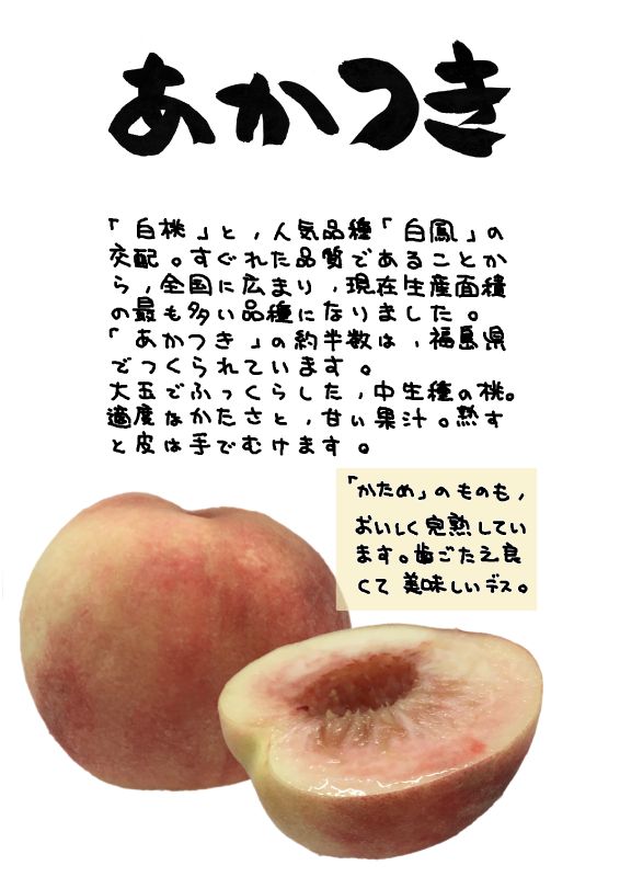 あかつき　白桃｜心にチクっとささるワードで作る「ちくわPOP（ちくわぽっぷ）」｜農産物直売所やスーパーの青果売り場の活性化に！農に特化したPOPが無料!!