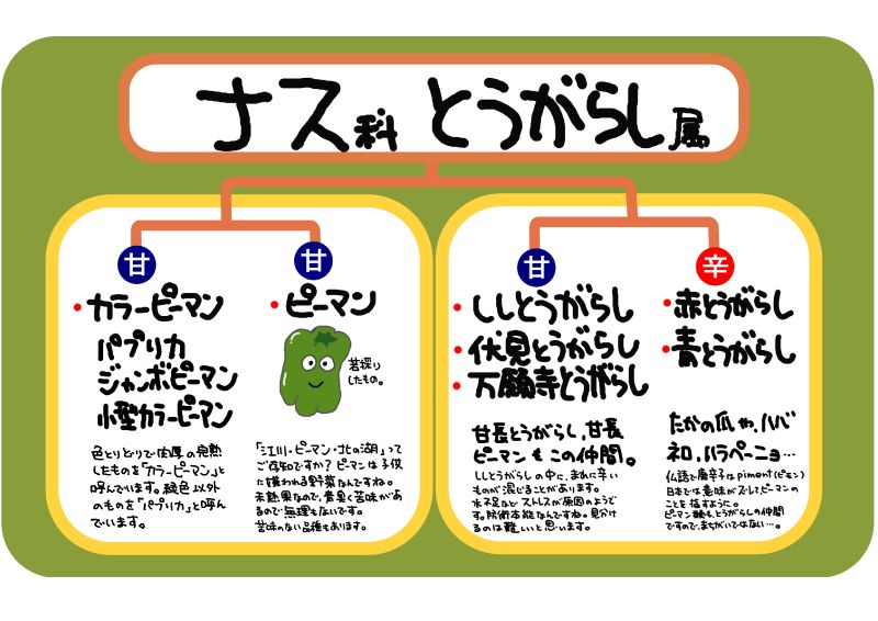 なす科トウガラシ属｜心にチクっとささるワードで作る「ちくわPOP（ちくわぽっぷ）」｜農産物直売所やスーパーの青果売り場の活性化に！農に特化したPOPが無料!!