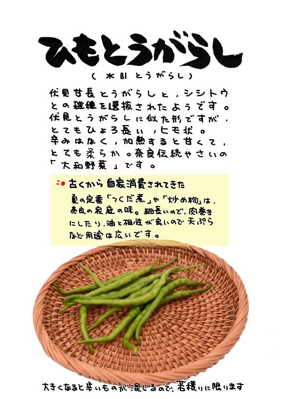 ひもとうがらし　水引とうがらし｜心にチクっとささるワードで作る「ちくわPOP（ちくわぽっぷ）」｜農産物直売所やスーパーの青果売り場の活性化に！農に特化したPOPが無料!!