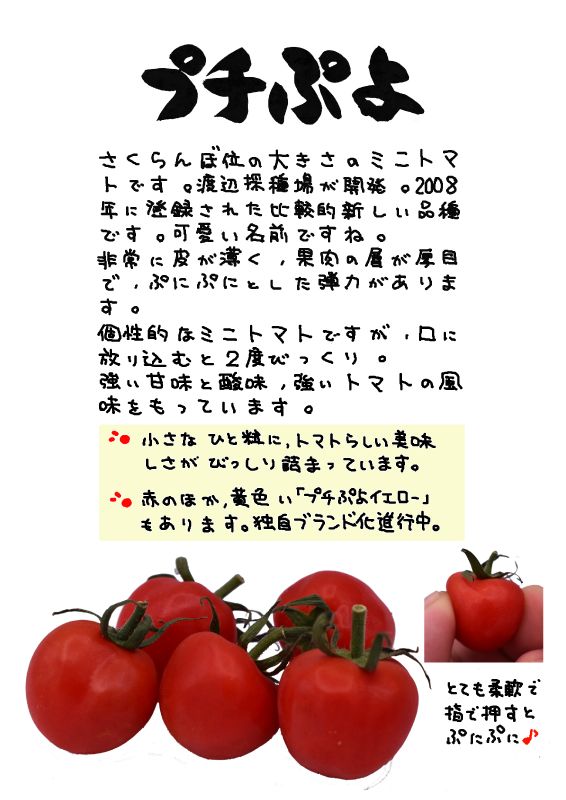 プチぷよ　ミニトマト｜心にチクっとささるワードで作る「ちくわPOP（ちくわぽっぷ）」｜農産物直売所やスーパーの青果売り場の活性化に！農に特化したPOPが無料!!