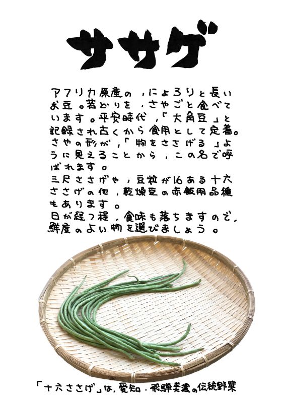 ササゲ　十六ささげ　三尺ささげ豆｜心にチクっとささるワードで作る「ちくわPOP（ちくわぽっぷ）」｜農産物直売所やスーパーの青果売り場の活性化に！農に特化したPOPが無料!!