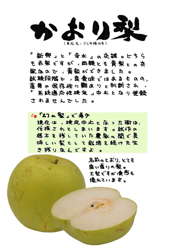 かおり梨｜心にチクっとささるワードで作る「ちくわPOP（ちくわぽっぷ）」｜農産物直売所やスーパーの青果売り場の活性化に！農に特化したPOPが無料!!