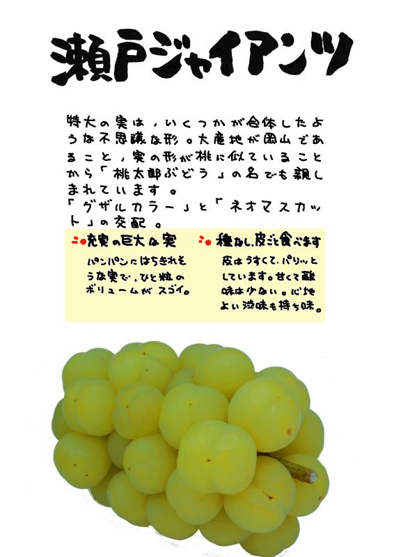 瀬戸ジャイアンツ｜心にチクっとささるワードで作る「ちくわPOP（ちくわぽっぷ）」｜農産物直売所やスーパーの青果売り場の活性化に！農に特化したPOPが無料!!