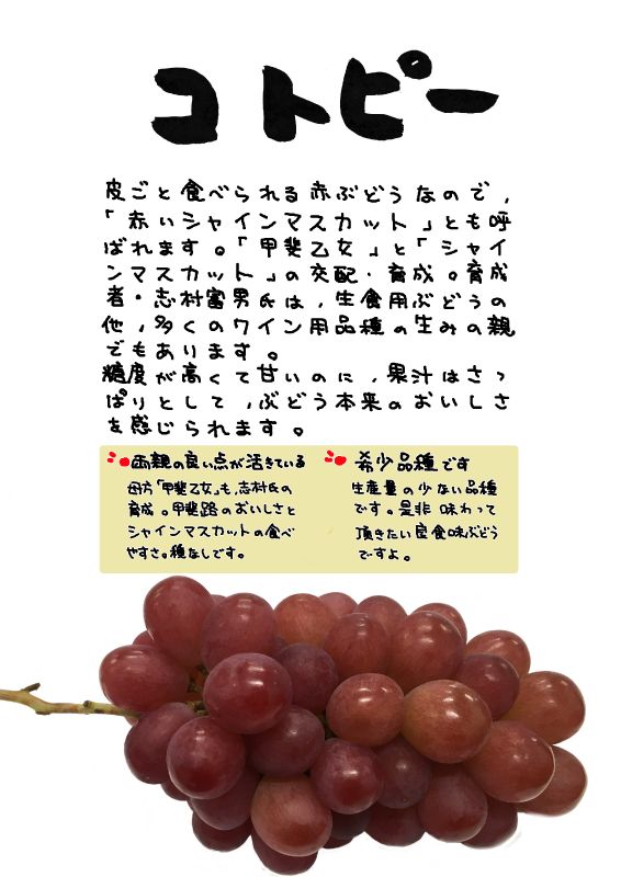 コトピー　ぶどう｜心にチクっとささるワードで作る「ちくわPOP（ちくわぽっぷ）」｜農産物直売所やスーパーの青果売り場の活性化に！農に特化したPOPが無料!!