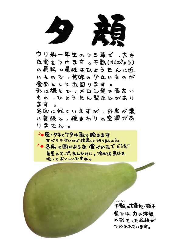 夕顔　ゆうがお｜心にチクっとささるワードで作る「ちくわPOP（ちくわぽっぷ）」｜農産物直売所やスーパーの青果売り場の活性化に！農に特化したPOPが無料!!