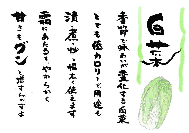 白菜　はくさい　５行｜心にチクっとささるワードで作る「ちくわPOP（ちくわぽっぷ）」｜農産物直売所やスーパーの青果売り場の活性化に！農に特化したPOPが無料!!