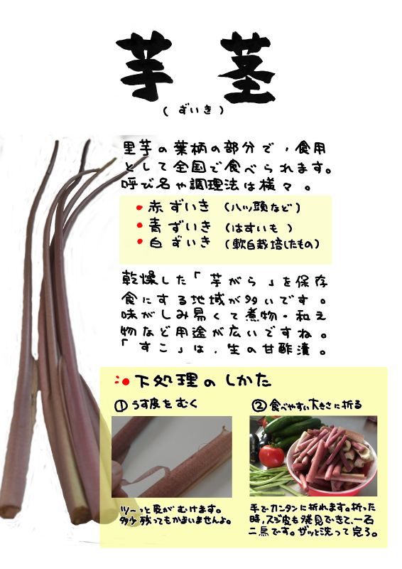 芋茎　ずいき｜心にチクっとささるワードで作る「ちくわPOP（ちくわぽっぷ）」｜農産物直売所やスーパーの青果売り場の活性化に！農に特化したPOPが無料!!