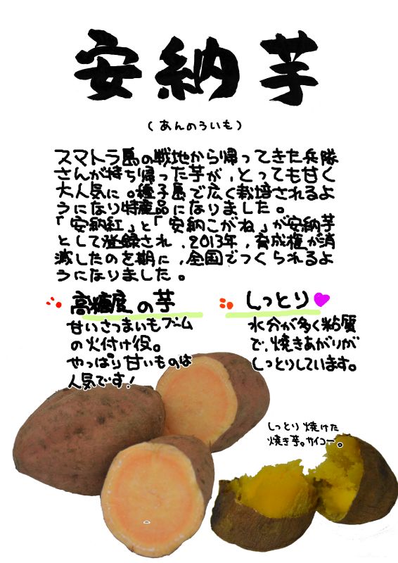 安納芋　あんのういも｜心にチクっとささるワードで作る「ちくわPOP（ちくわぽっぷ）」｜農産物直売所やスーパーの青果売り場の活性化に！農に特化したPOPが無料!!