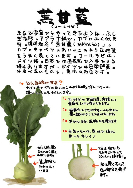 蕪甘藍　かぶかんらん｜心にチクっとささるワードで作る「ちくわPOP（ちくわぽっぷ）」｜農産物直売所やスーパーの青果売り場の活性化に！農に特化したPOPが無料!!