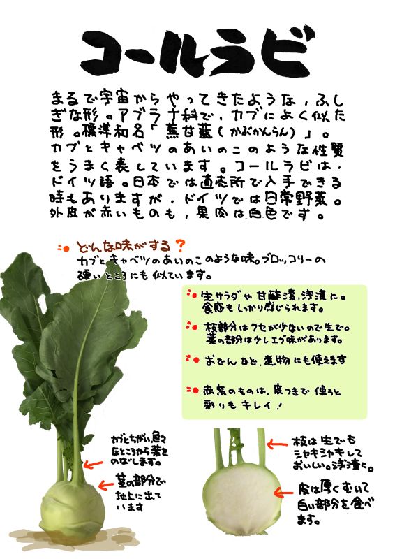コールラビ｜心にチクっとささるワードで作る「ちくわPOP（ちくわぽっぷ）」｜農産物直売所やスーパーの青果売り場の活性化に！農に特化したPOPが無料!!