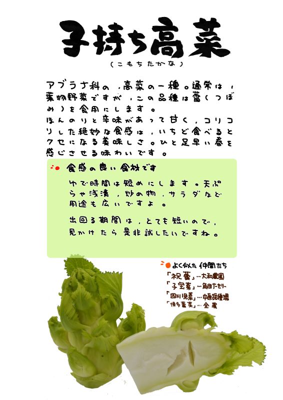 子持ち高菜｜心にチクっとささるワードで作る「ちくわPOP（ちくわぽっぷ）」｜農産物直売所やスーパーの青果売り場の活性化に！農に特化したPOPが無料!!