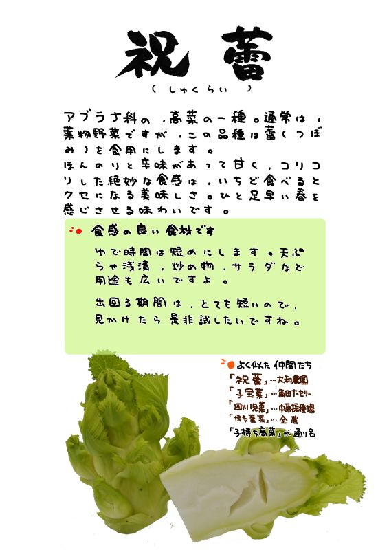 祝蕾　しゅくらい｜心にチクっとささるワードで作る「ちくわPOP（ちくわぽっぷ）」｜農産物直売所やスーパーの青果売り場の活性化に！農に特化したPOPが無料!!