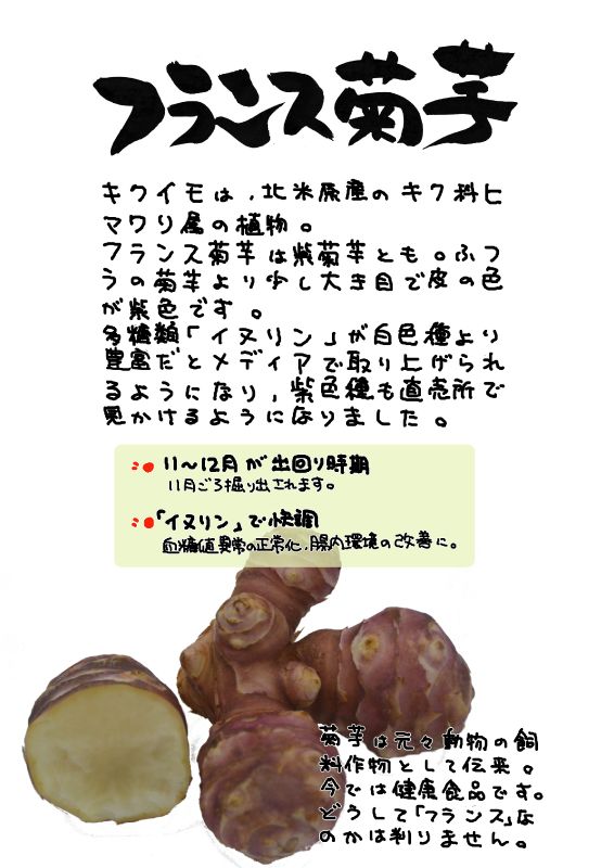 フランス菊芋｜心にチクっとささるワードで作る「ちくわPOP（ちくわぽっぷ）」｜農産物直売所やスーパーの青果売り場の活性化に！農に特化したPOPが無料!!