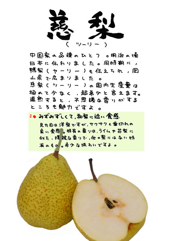 慈梨　ツーリー　なし｜心にチクっとささるワードで作る「ちくわPOP（ちくわぽっぷ）」｜農産物直売所やスーパーの青果売り場の活性化に！農に特化したPOPが無料!!