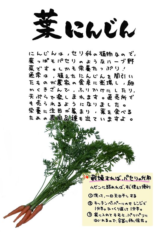 葉にんじん　にんじん葉　にんじん菜｜心にチクっとささるワードで作る「ちくわPOP（ちくわぽっぷ）」｜農産物直売所やスーパーの青果売り場の活性化に！農に特化したPOPが無料!!