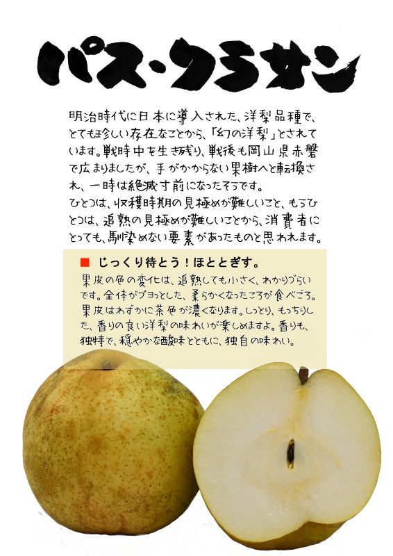 パス　クラサン　洋梨　パス・クラサン｜心にチクっとささるワードで作る「ちくわPOP（ちくわぽっぷ）」｜農産物直売所やスーパーの青果売り場の活性化に！農に特化したPOPが無料!!
