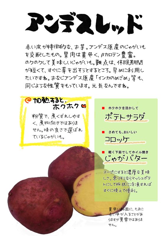 アンデスレッド TX｜心にチクっとささるワードで作る「ちくわPOP（ちくわぽっぷ）」｜農産物直売所やスーパーの青果売り場の活性化に！農に特化したPOPが無料!!