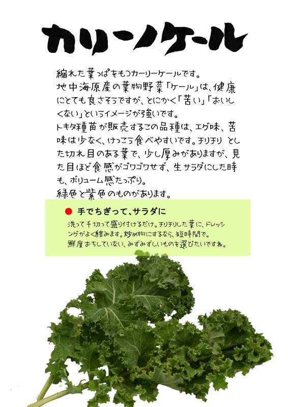 カリーノケール　カーリーケール　TX｜心にチクっとささるワードで作る「ちくわPOP（ちくわぽっぷ）」｜農産物直売所やスーパーの青果売り場の活性化に！農に特化したPOPが無料!!