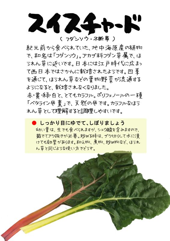 スイスチャード TX｜心にチクっとささるワードで作る「ちくわPOP（ちくわぽっぷ）」｜農産物直売所やスーパーの青果売り場の活性化に！農に特化したPOPが無料!!