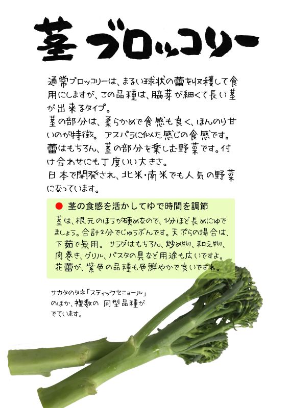 茎ブロッコリー　TX｜心にチクっとささるワードで作る「ちくわPOP（ちくわぽっぷ）」｜農産物直売所やスーパーの青果売り場の活性化に！農に特化したPOPが無料!!