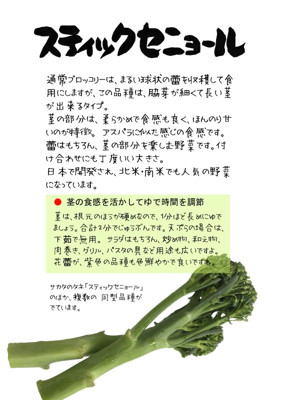 スティックセニョール　TX｜心にチクっとささるワードで作る「ちくわPOP（ちくわぽっぷ）」｜農産物直売所やスーパーの青果売り場の活性化に！農に特化したPOPが無料!!