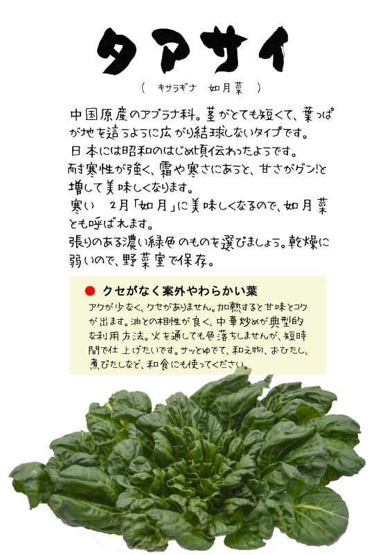 タアサイ　ターサイ　TX｜心にチクっとささるワードで作る「ちくわPOP（ちくわぽっぷ）」｜農産物直売所やスーパーの青果売り場の活性化に！農に特化したPOPが無料!!